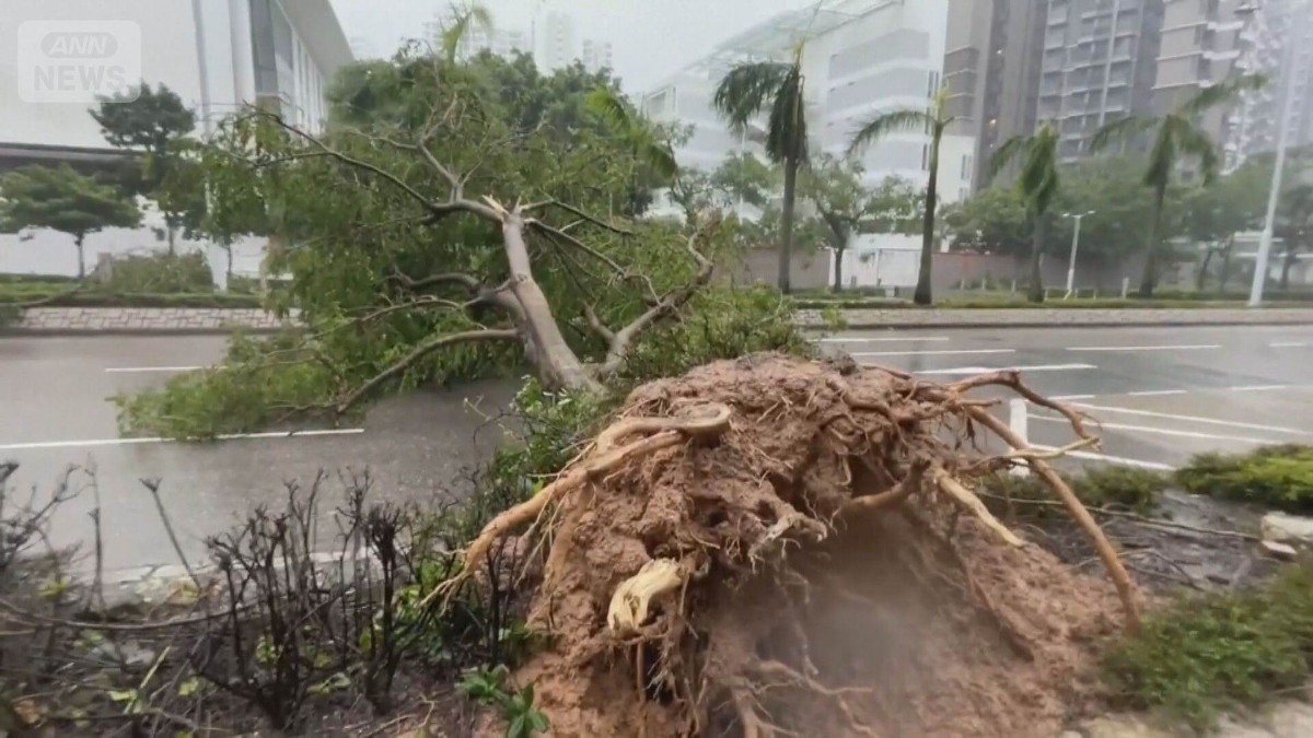 「スーパー台風」直撃　台湾の住宅街に濁流、14人死亡　香港では3mの高潮