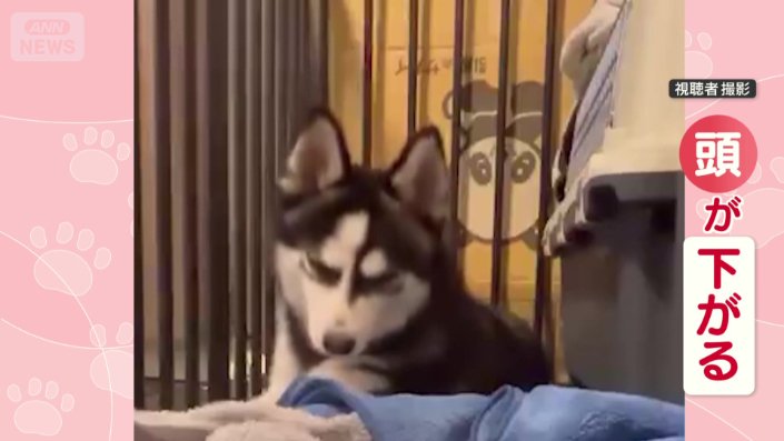だんだん頭が下がってきて…