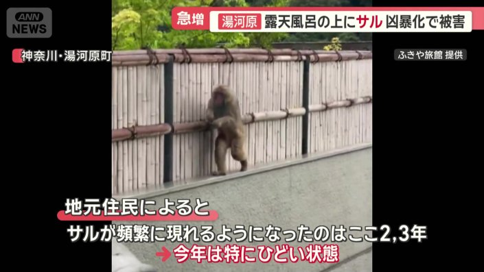 今年は特にひどい状態