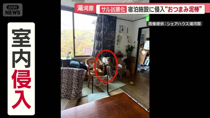 炊飯器を踏み台に