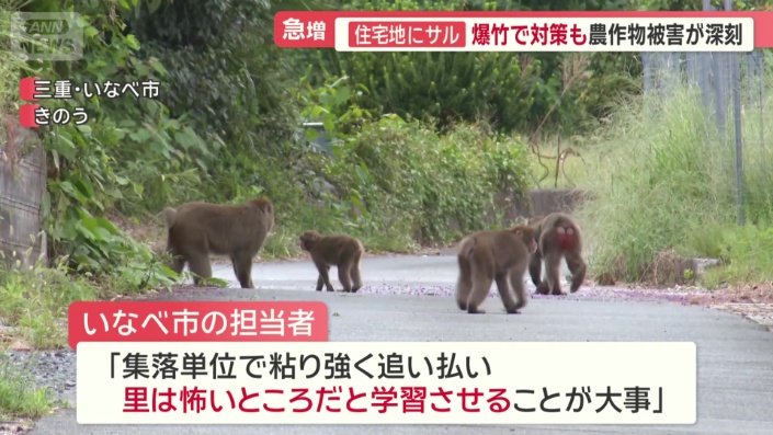 「追い払いをしないと人間を怖がらなくなる」
