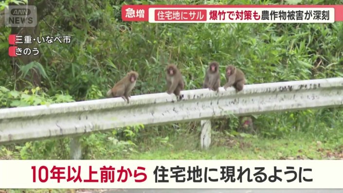 10年以上前から出現