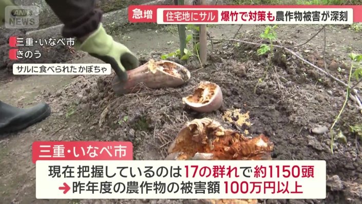 農作物の被害は100万円以上