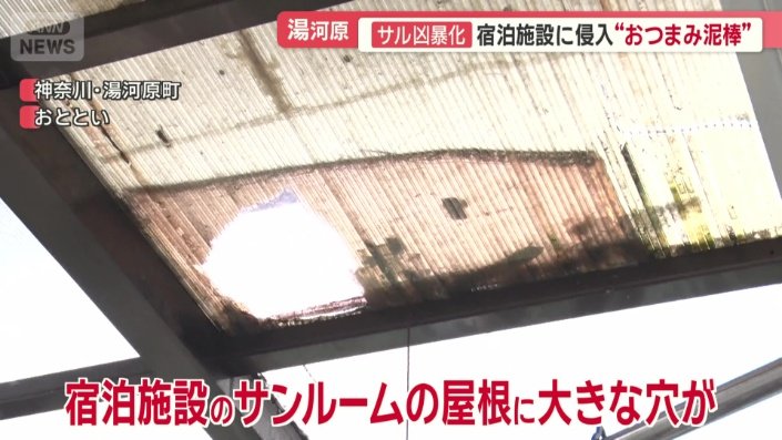 壊された屋根