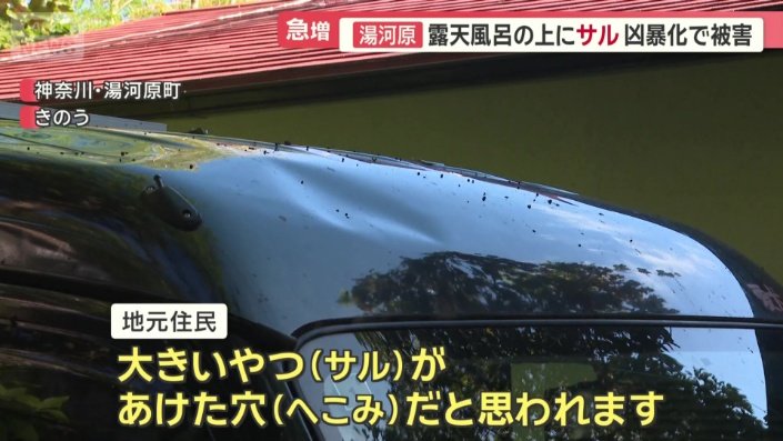 車の屋根に…