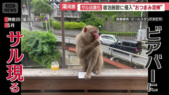 おつまみのナッツを盗み食い