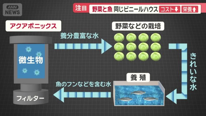 アクアポニックスとは？