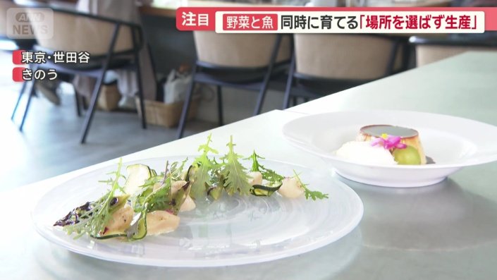 野菜などは前菜やスイーツに使用