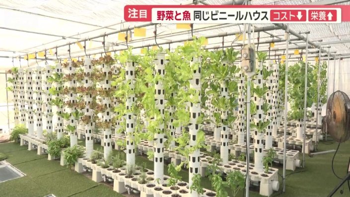 神奈川県藤沢市