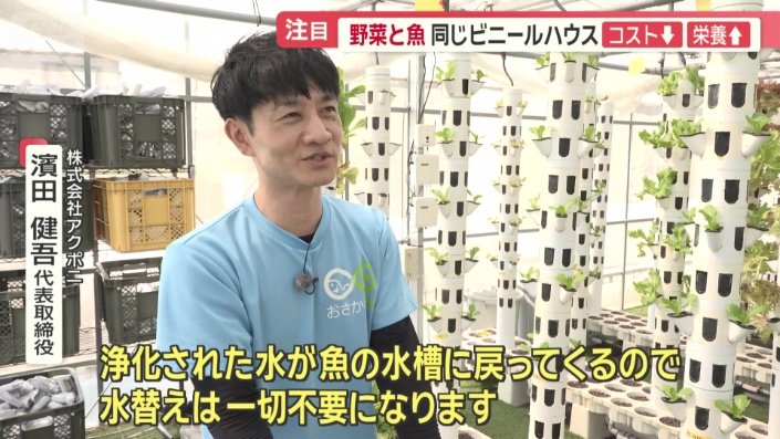 株式会社アクポニ　濱田健吾代表取締役