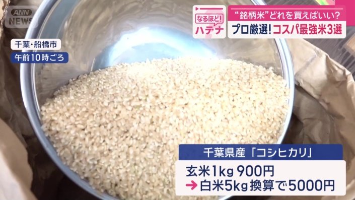 千葉県産の「コシヒカリ」