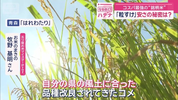 これら3つには共通点がある