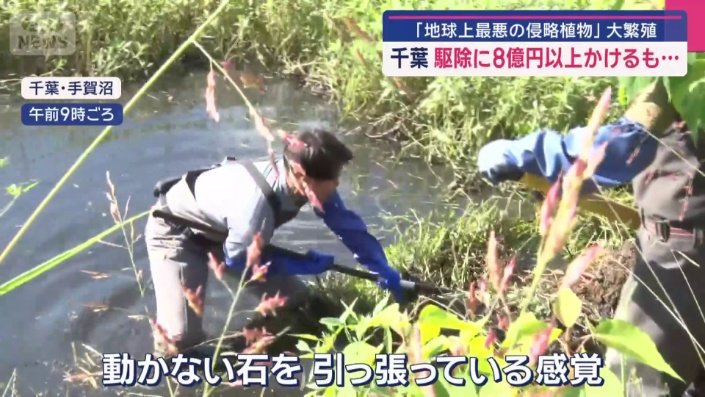 駆除もひと苦労