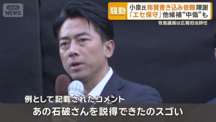 例として記載されたコメント