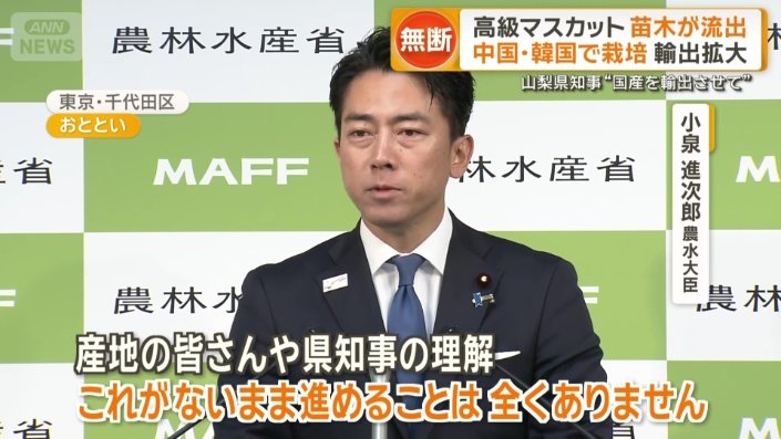 小泉農水大臣は生産地に配慮する姿勢