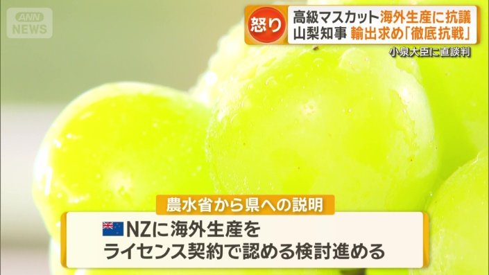 農水省から県への説明