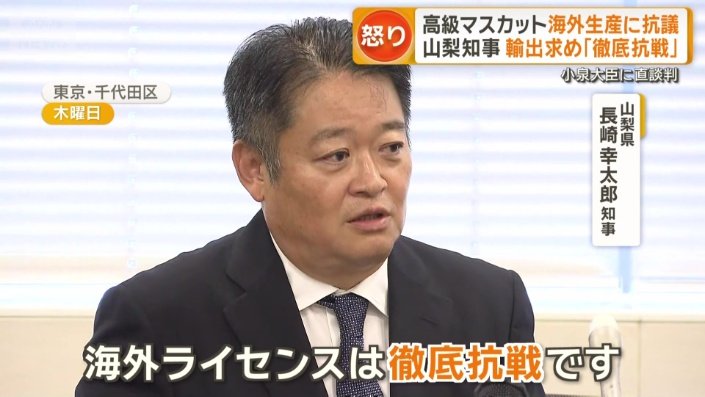 「徹底抗戦です」
