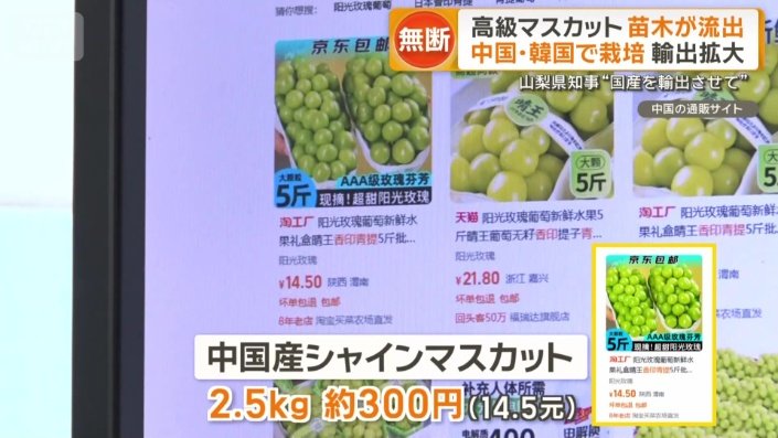 中国の通販サイトに出品されている中国産シャインマスカット