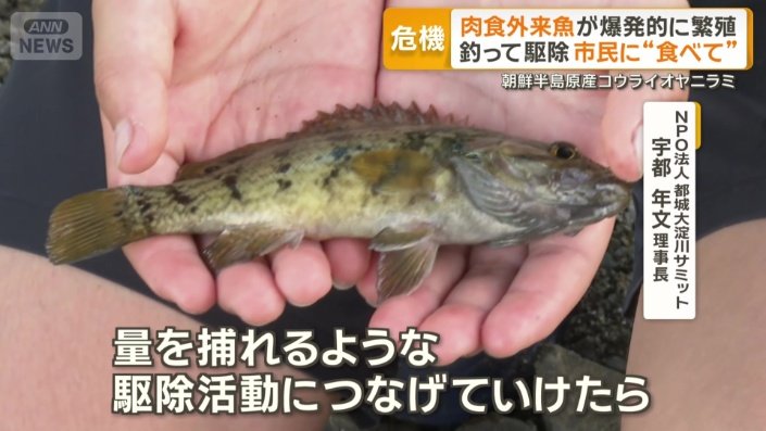本格的な駆除活動を行いたいと意気込む