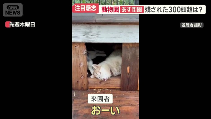 来園者の呼び掛けに反応しない動物