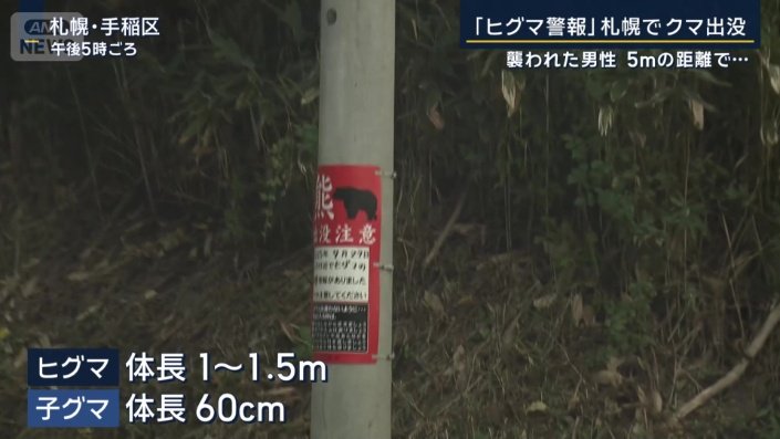 体長1〜1.5メートルのヒグマの目撃情報
