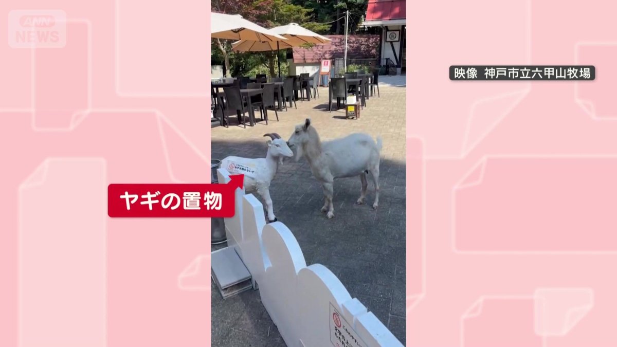 置物に近づく
