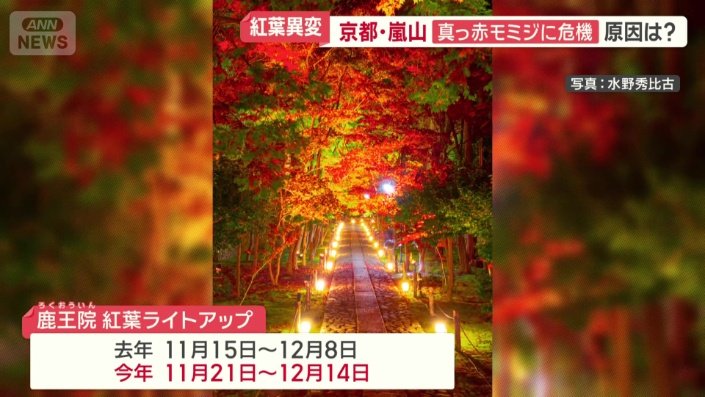 例年よりも1週間後ろにずらして開催する