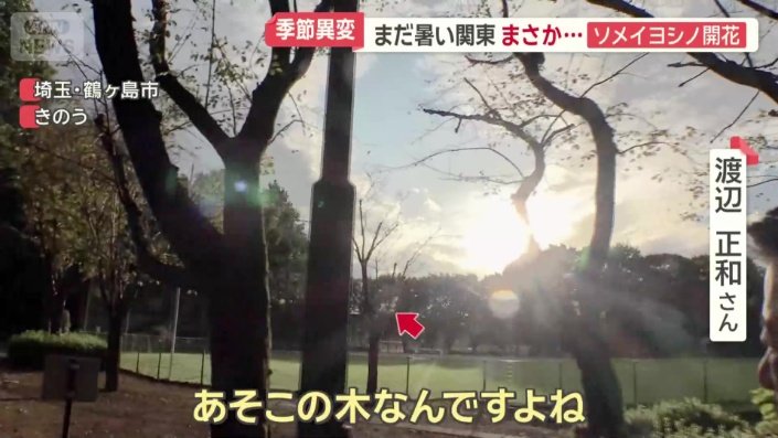 埼玉県鶴ケ島市の公園