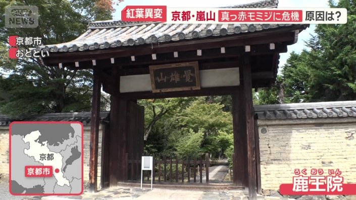危機にさらされているのが…