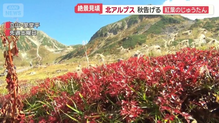 標高2450メートルの室堂平