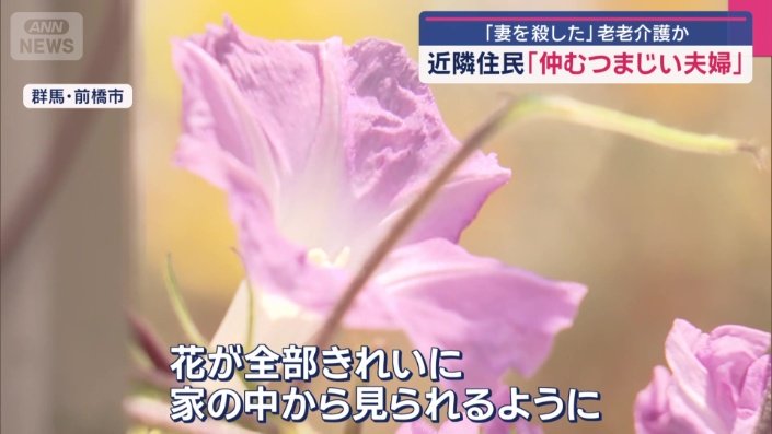 手入れされた庭