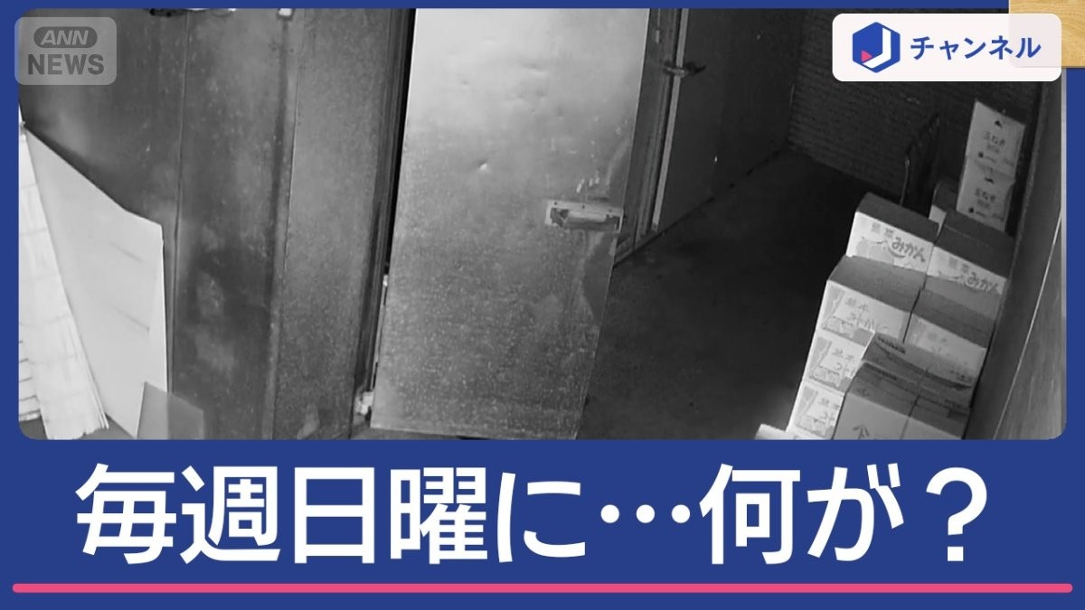 日曜日に食べ物が無くなる…なぜ？設置したカメラに写ったのは