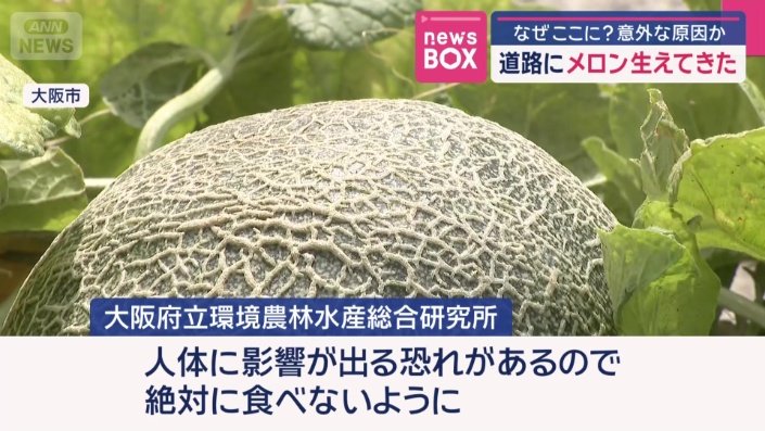 「絶対に食べないように」