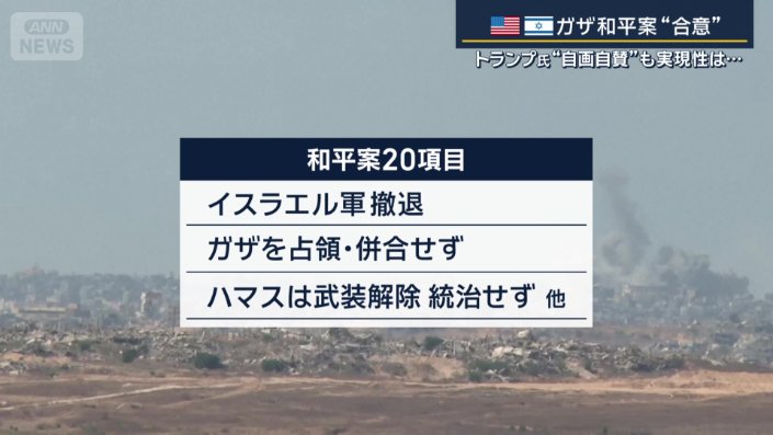和平案20項目
