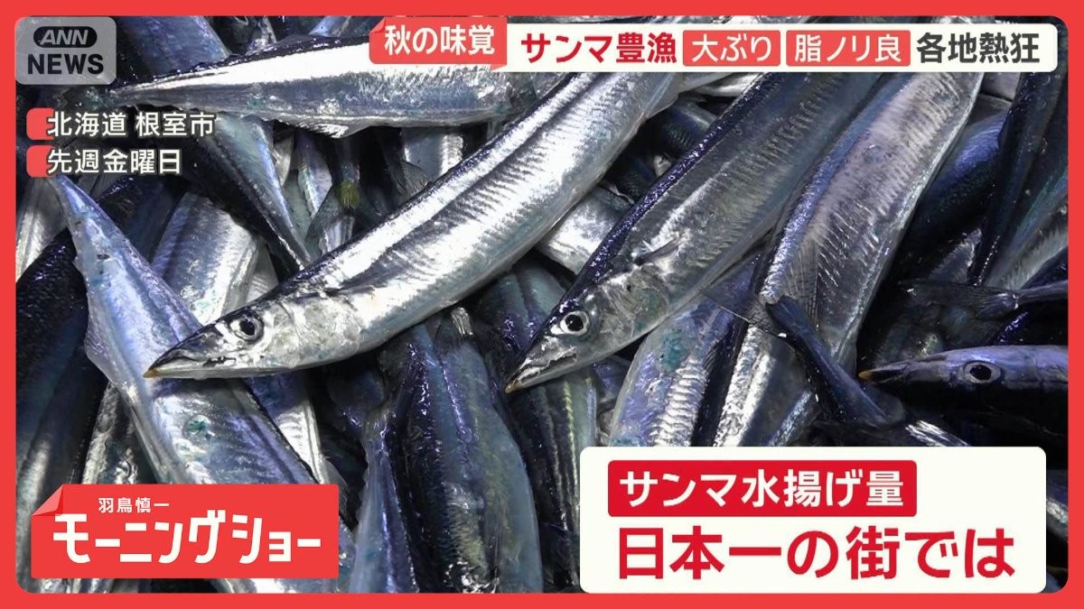 「見たことない大きさ」サンマ豊漁“とれ過ぎ”休漁も　去年の2倍超　各地熱狂