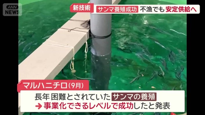 マルハニチロ