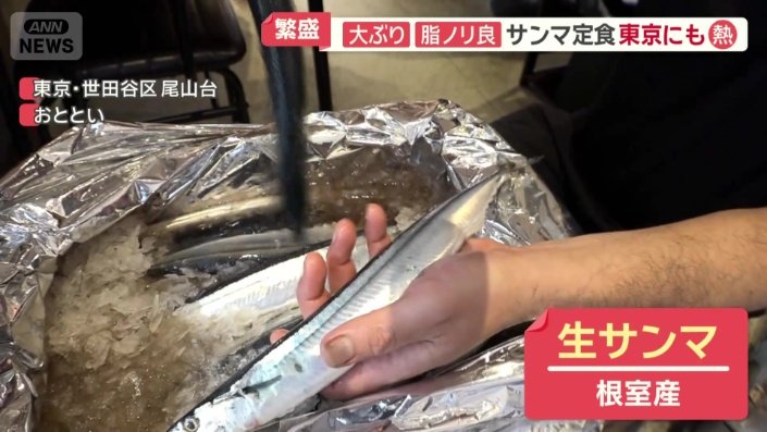 肉厚なサンマ