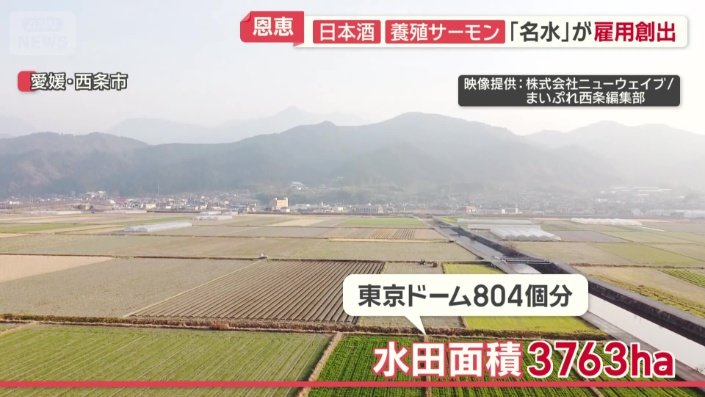 経営耕地面積は“四国一の広さ”