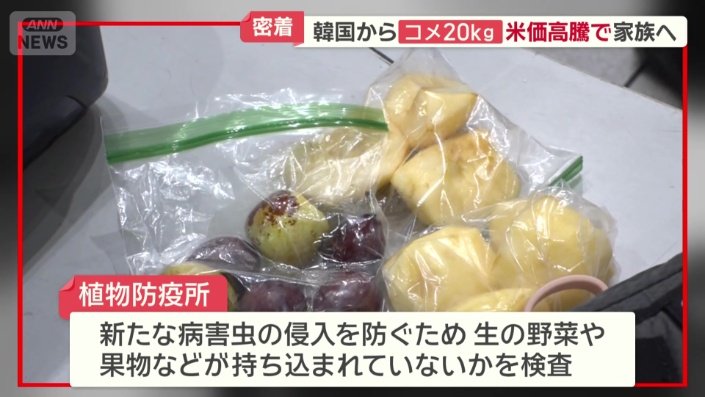 植物防疫所