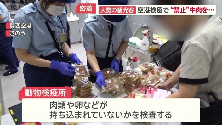 動物検疫所
