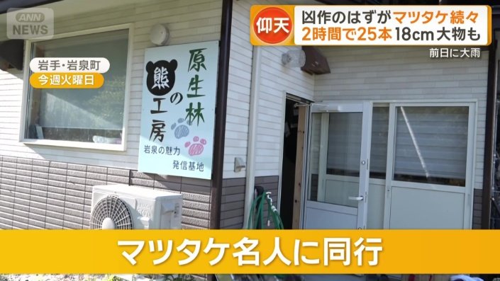 原生林の熊工房