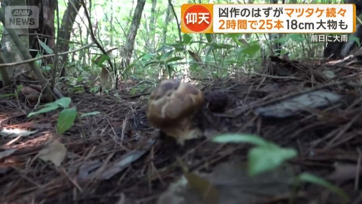 この日一番の大物