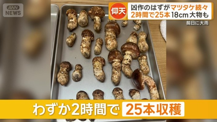 わずか2時間で25本も収穫