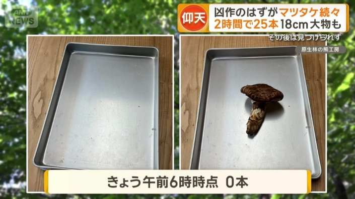 1日はゼロ、2日も1本のみ