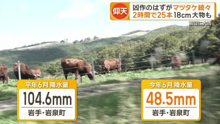 岩手県の内陸部にある岩泉町