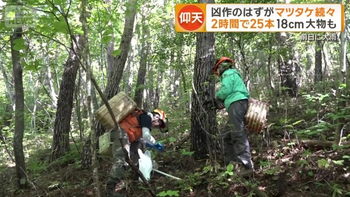 前の日あたりにはまとまった雨