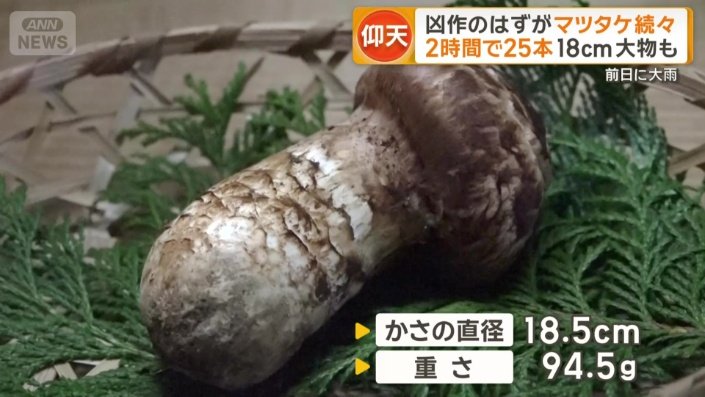 重さは94.5グラム