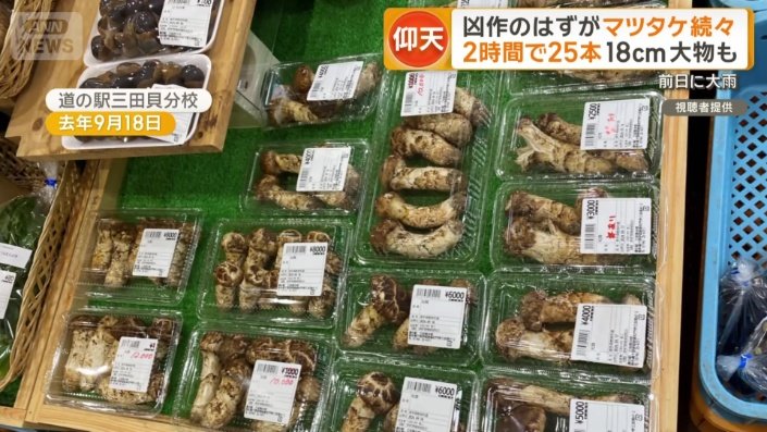 去年9月の道の駅のマツタケ売り場