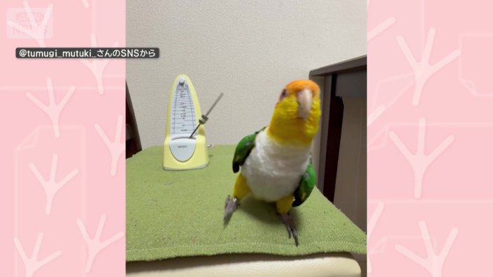 まるで振り子のような動き