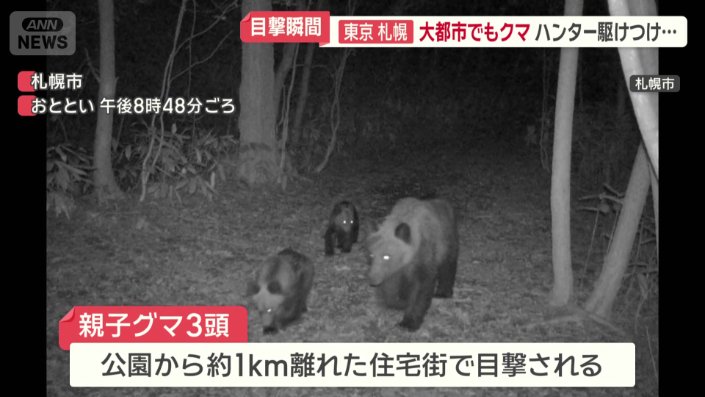 公園から約1キロ離れた住宅街では、親子グマ3頭が目撃された